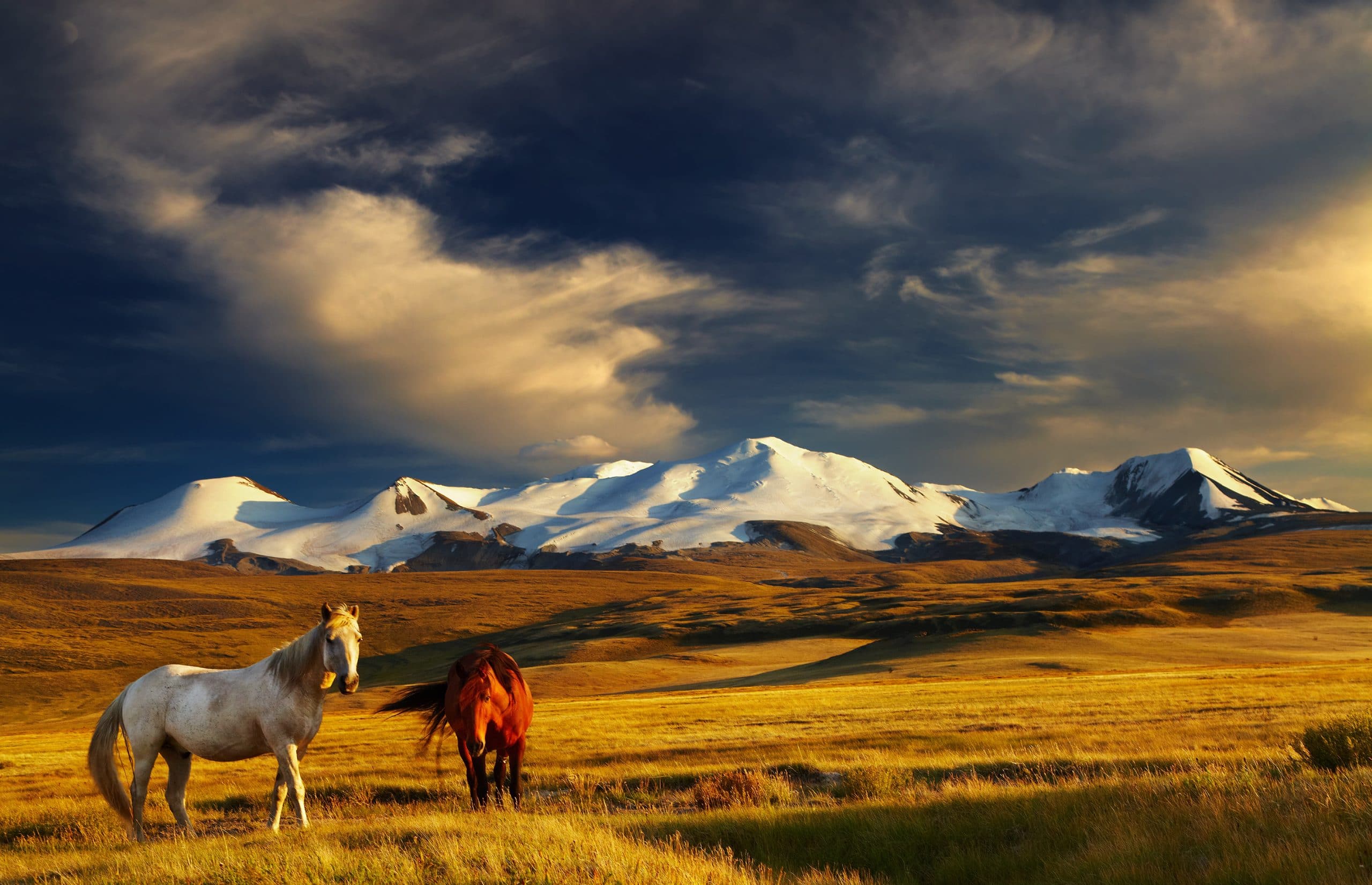 mongolie intérieure